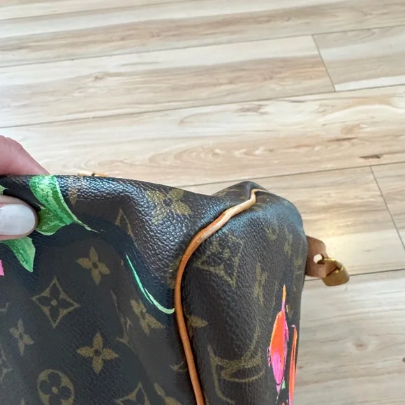 Louis Vuitton X Stephen Sprouse Roses Limited Edition Speedy 30 - Picture 8 of 16